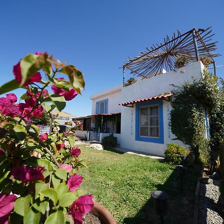Santerra, Valle De Guadalupe Εξωτερικό φωτογραφία