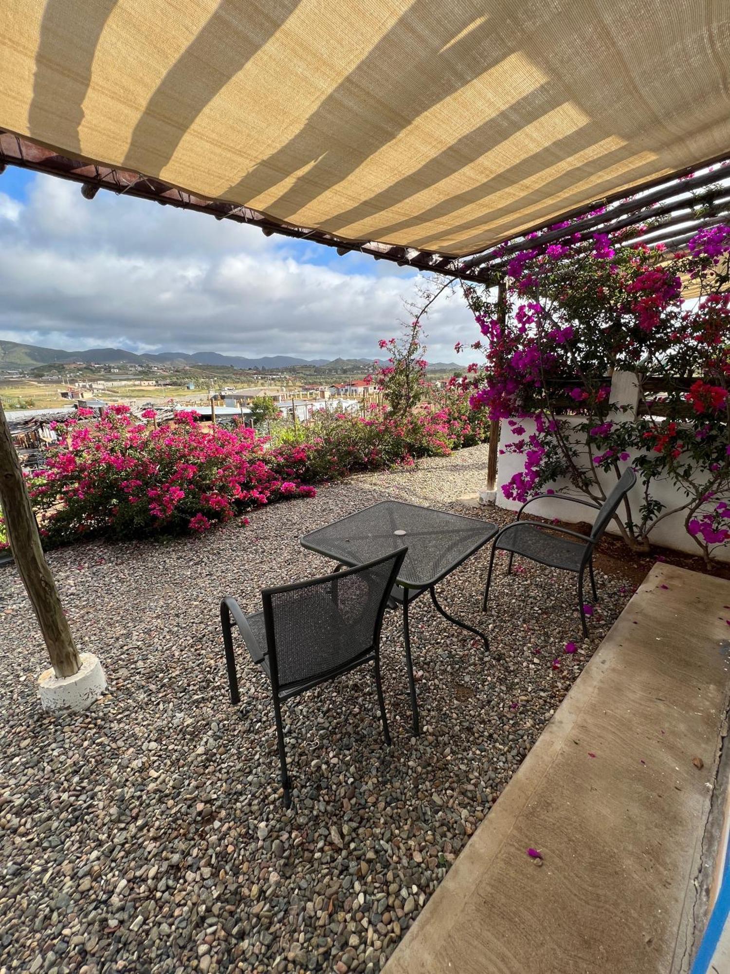 Santerra, Valle De Guadalupe Εξωτερικό φωτογραφία