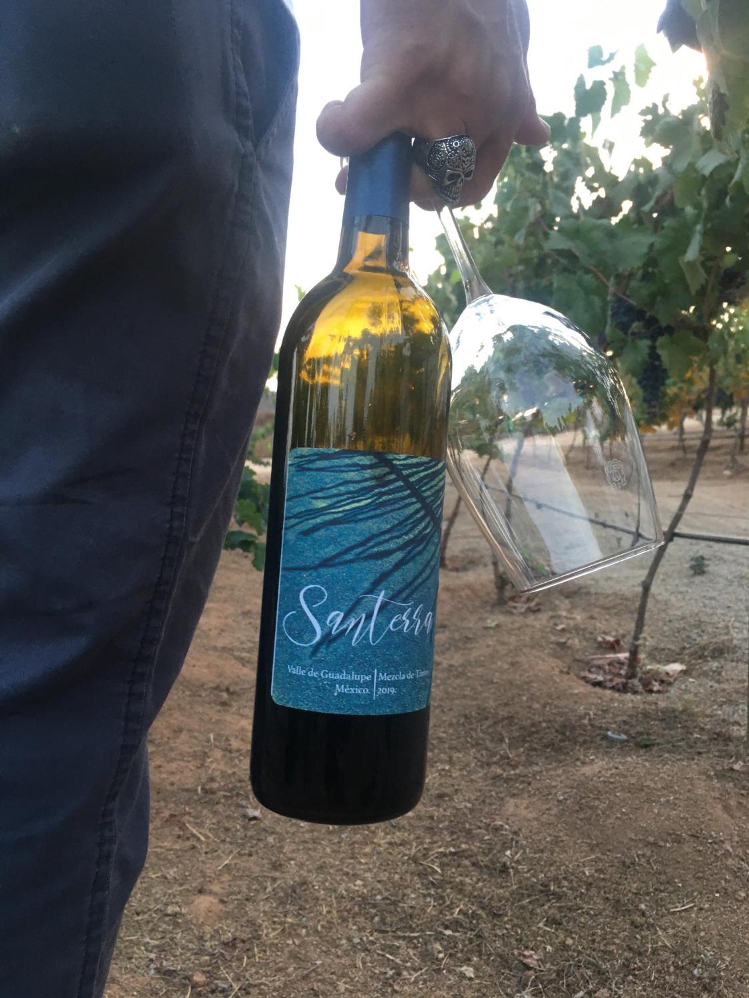 Santerra, Valle De Guadalupe Εξωτερικό φωτογραφία