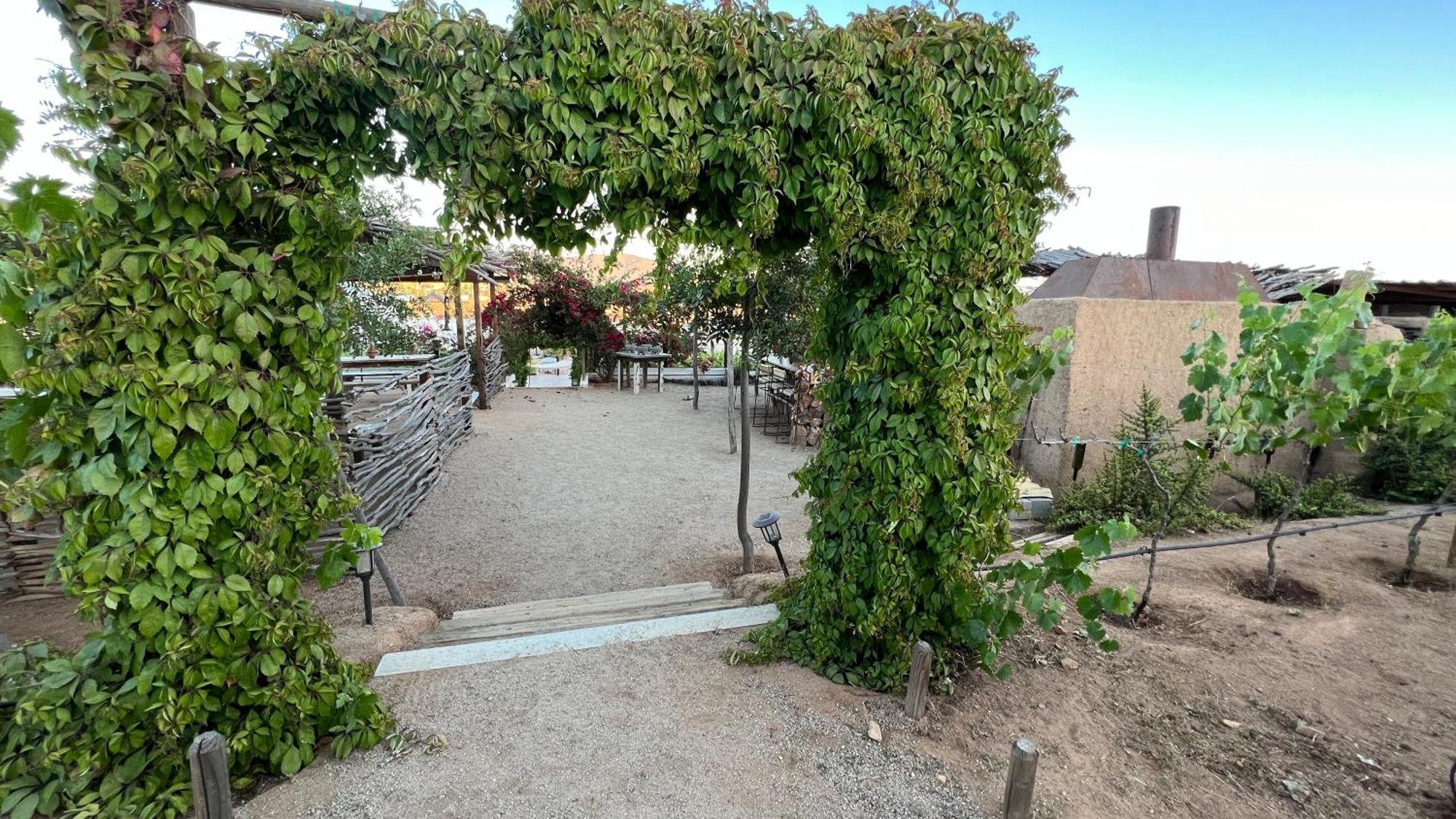 Santerra, Valle De Guadalupe Εξωτερικό φωτογραφία