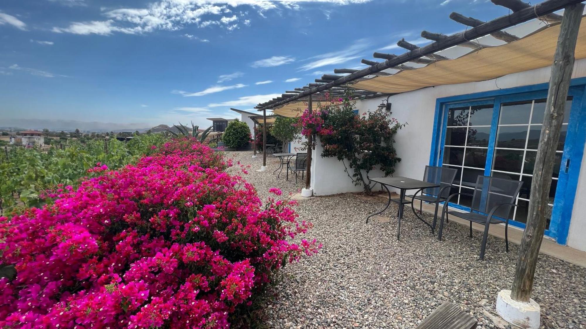 Santerra, Valle De Guadalupe Εξωτερικό φωτογραφία