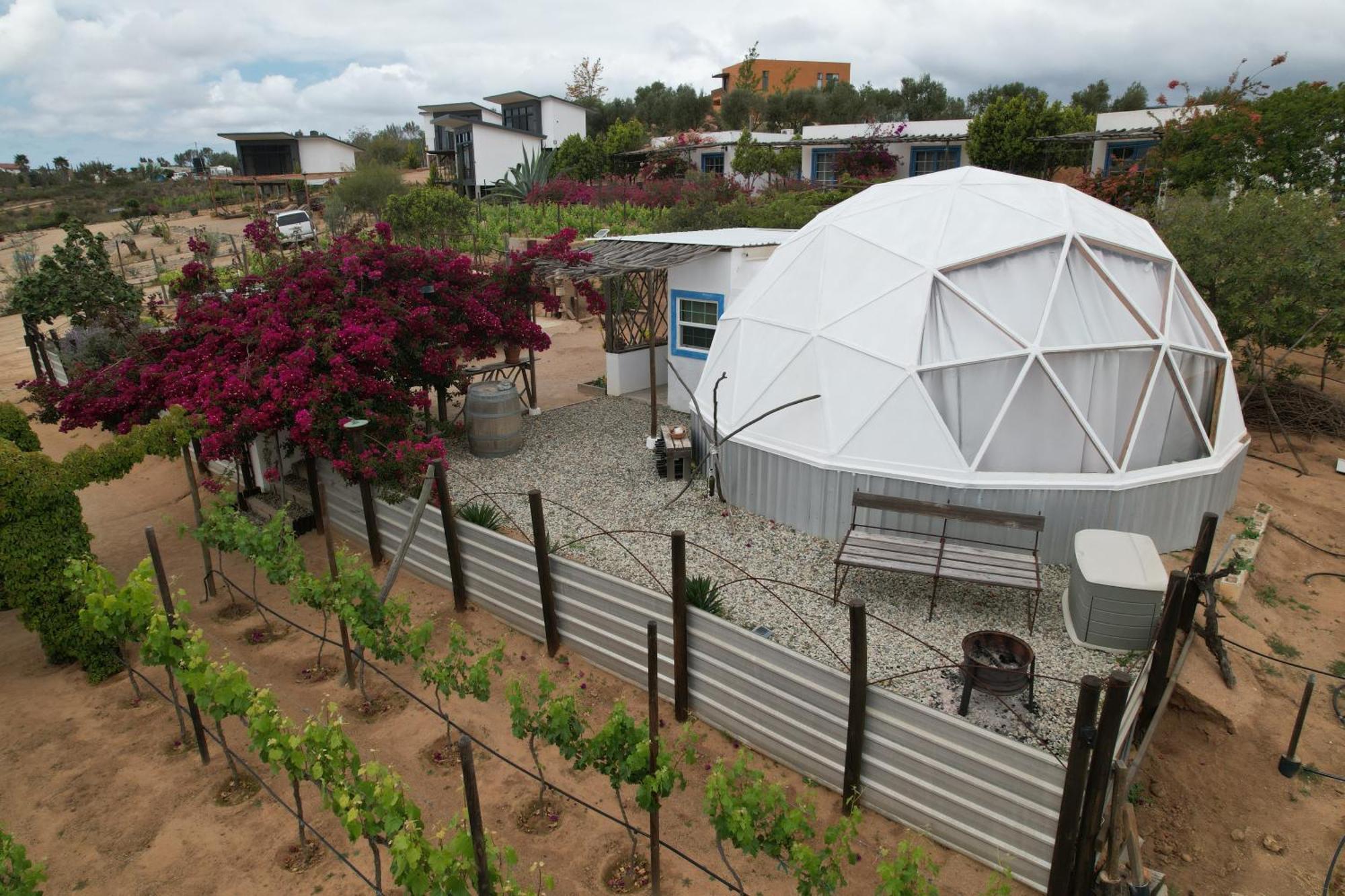 Santerra, Valle De Guadalupe Εξωτερικό φωτογραφία